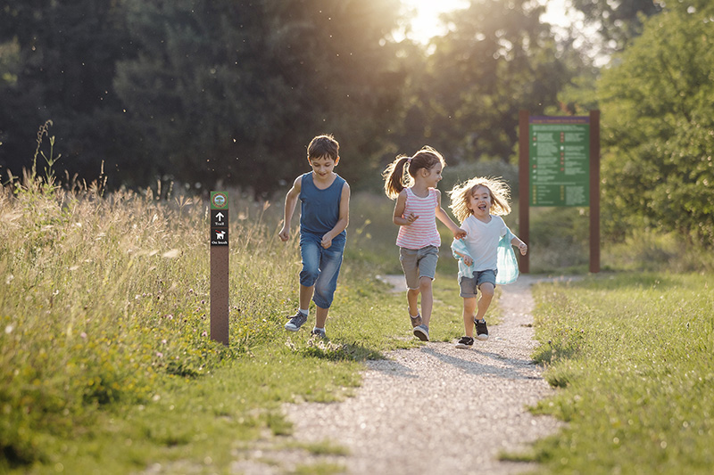 Park signage